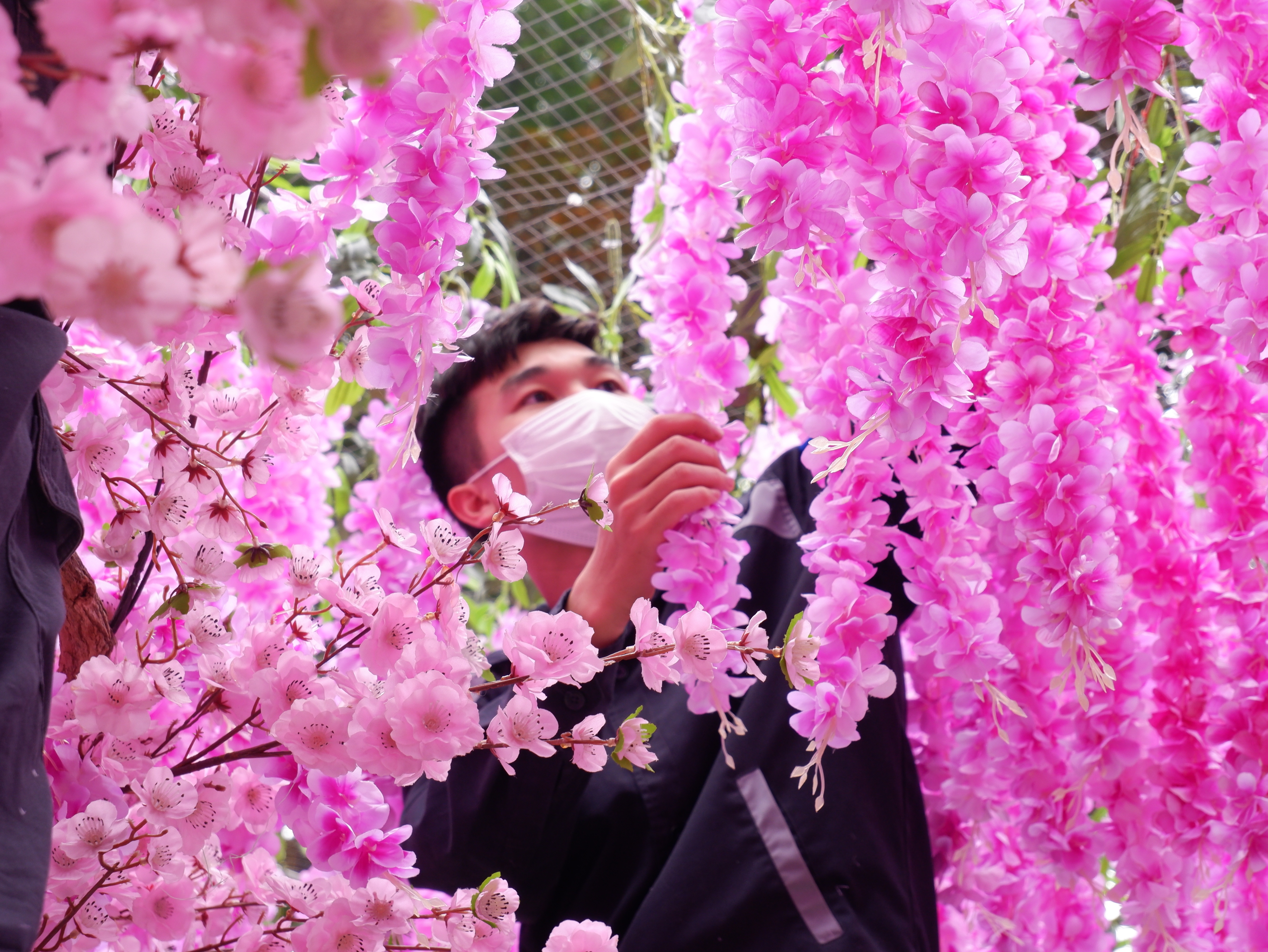 VISAHOと共に和菓子作りのワークショップを体験