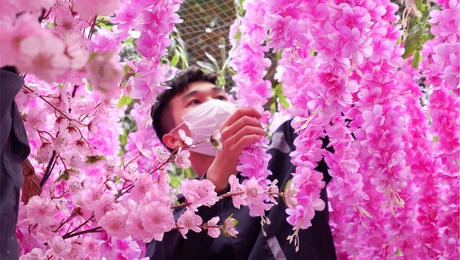 Trang trí Tết Nhâm dần 2022