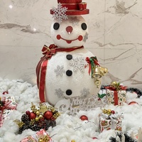 Celebrate Christmas with VISAHO